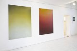 {Diffuse jaune-vert} et {Diffuse rouge-brun}, 2017