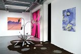 Exposition La nuit finir par tomber derrière l'iris jaune [...], Encooore, Biarritz, 2025 Commissariat : Lena Peyrard et Margaux Henry-Thieullent Avec Elsa Brès, Tatiana Defraine, Louise Vendel et Chloé Saksik