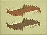 {Second Nature,} 2008