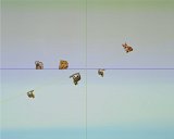 {Entre chiens et loups}, 2013