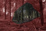 {Refuge 2}, 2016