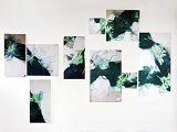 {Études de lichens}, 2024