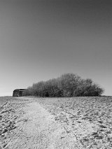 {Sans titre 30}