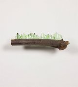 {Sans titre (Le bois)}, 2019