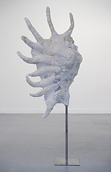 {Coquillage IV,} 2012