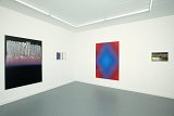 Vue de l'exposition Le Faux Miroir - « L'art est un mensonge qui nous fait réaliser la vérité ... », Rodolphe Janssen Gallery, Bruxelles (B), 2010 Avec Tauba Auerbach, Anne Collier, Alex Hubbard, Nathan Hylden, Jacob Kassay, David Malek, Peter Peri, Josh Tonsfeldt