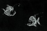 {Deux poissons abyssaux,} 1997 