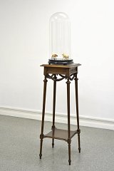 {Le renard libre dans le poulailler libre}, 2012