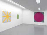 Vue de l'exposition David Malek. New Paintings, Galerie Triple V, Paris, 2015