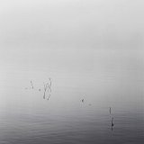 {Sans titre 2}, 2004
