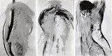 {{ {Figures tracées,} 1977-78}}