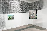 Vue de l'exposition (2e salle « La grotte ») {Par les yeux de la louve, La traversée de la grotte}