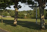 Vue générale de l'œuvre