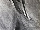 {Written in the Wind,} 1981