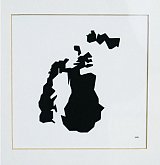 {Mer d'Aral}, 2010 (détail)