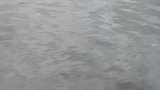 Fleuve 4