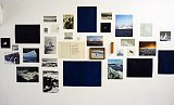 {Compositions naturalistes,} 2017 
