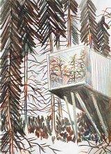 {Cabane dans les bois}, 2023