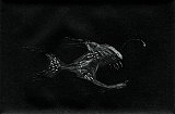{Tiefseefish,} 2000 