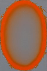 {Orange Ellipse,} 2016 