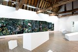 Vue de l'exposition (1re salle) {Par les yeux de la louve, la traversée de la grotte}