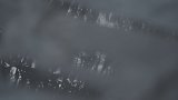 Reflet 1
