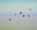 {Entre chiens et loups}, 2013