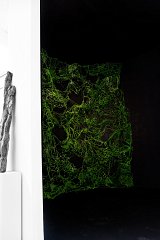 Vue de l'exposition Cultiver notre Terre (2021), Centre d'art Arteppes, Annecy