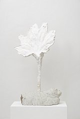 {Morse végétal,} 2015