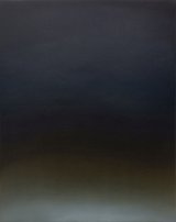 {Diffuse noir-versicolore}, 2016