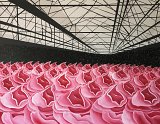 {Alain D. et l'espace}, 2009