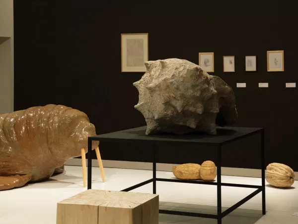 Vue de l'exposition La Grande Évolution