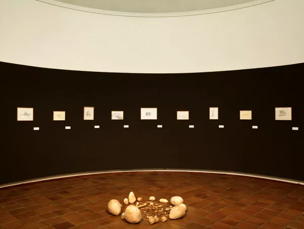 Vue de l'exposition La Grande Évolution