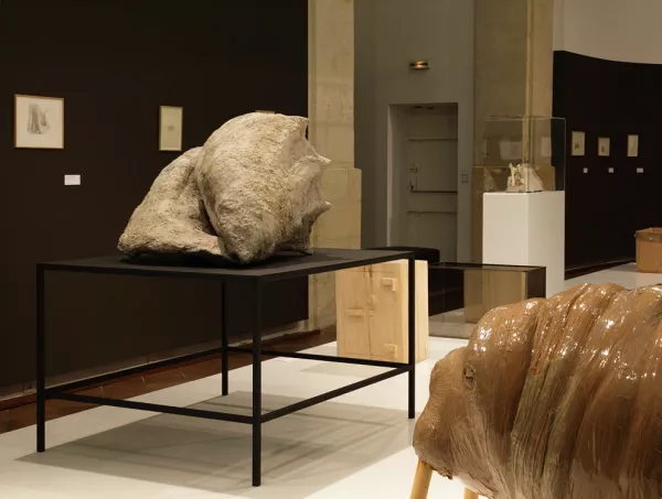 Vue de l'exposition La Grande Évolution