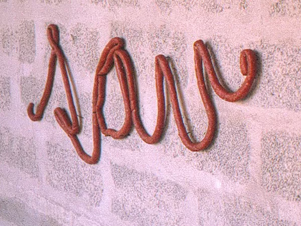 {SAU,} 1990 
