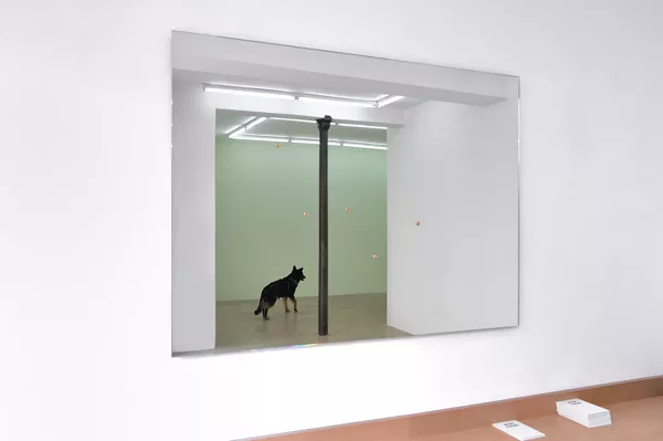 {Le Lézard,} 2007 