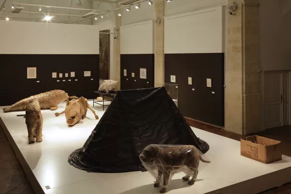 Vue de l'exposition La Grande Évolution