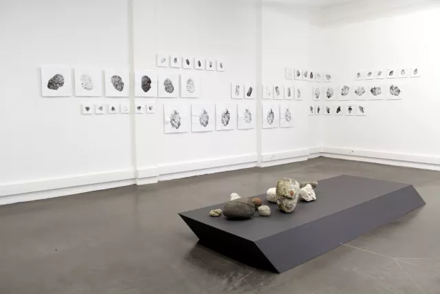  {D'une pierre}, 2013-2017